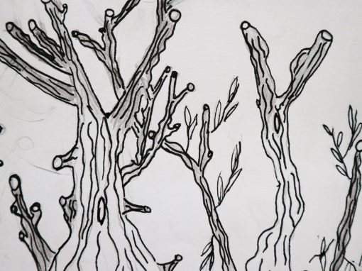 Chaque jour un arbre