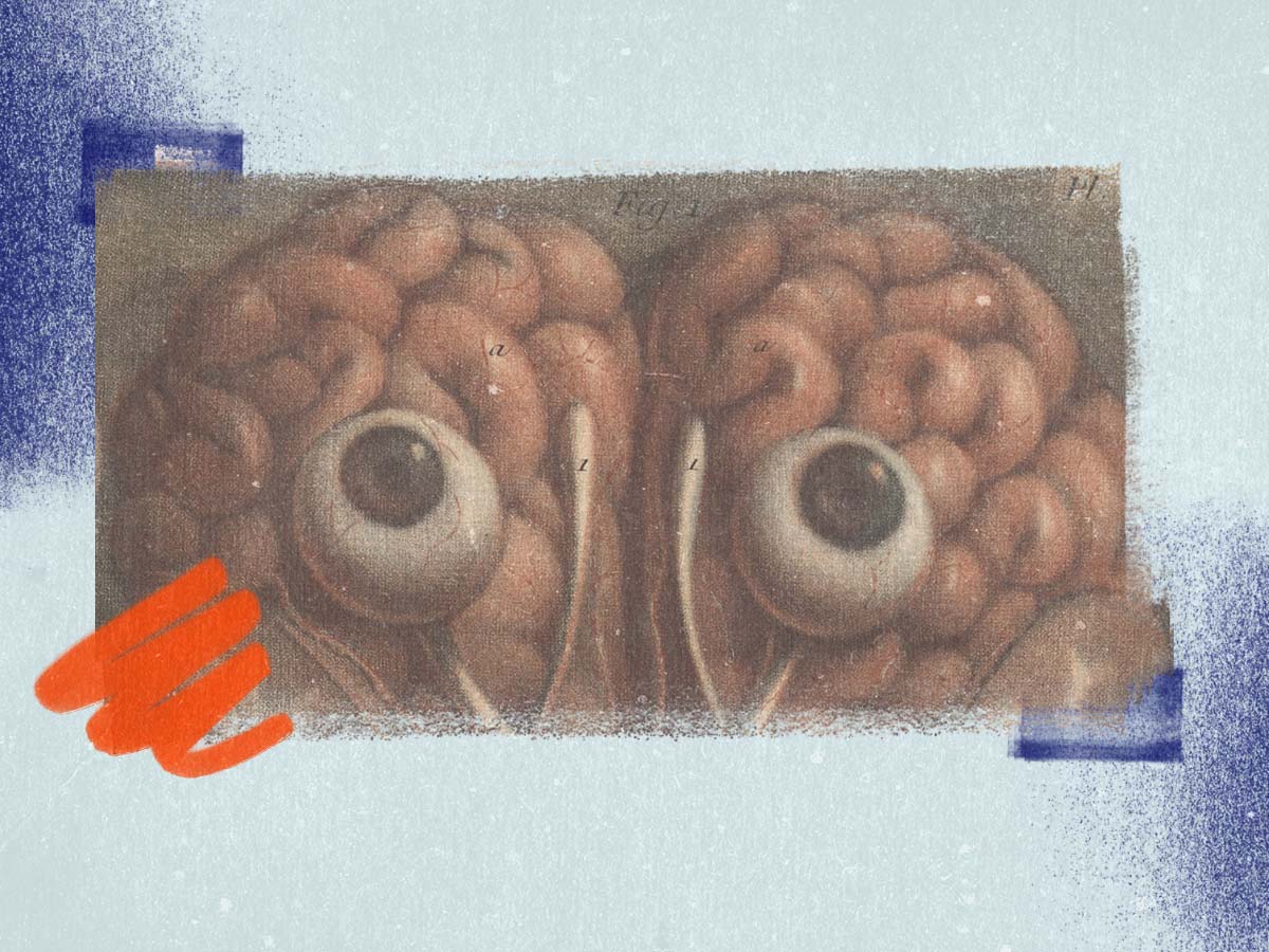 Dessin et syst&egrave;me nerveux &mdash; jeudi soir